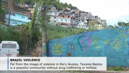 Rio de Janeiro shantytown is oasis in sea of violence