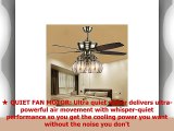 Andersonlight Transitional Ceiling Fan 5 Light 5 Blades Reversible Quiet Fan Chandelier