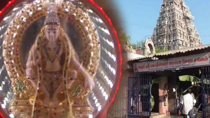 ஐயப்பனுக்கு வெள்ளி காப்பு அலங்காரம் செய்யப்பட்டு மஹா தீபாரதனை நடைபெற்றது- வீடியோ