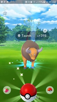 Pokémon GO Tauros