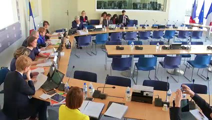 Commission des affaires européennes : Auditions diverses - Jeudi 21 mars 2019