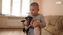 Menino russo tem seu próprio abrigo de animais