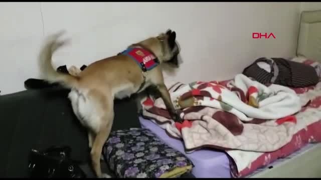 Bitlis Bitlis Merkezli 4 Kentte Uyuşturucu Operasyonu: 18 Gözaltı