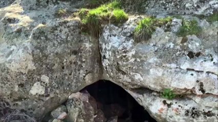 Diyarbakır'da toprağa gömülü PKK'ya ait silah ve mühimmat bulundu