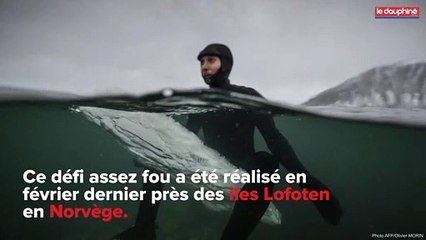 Il fait du surf avec une planche de... glace