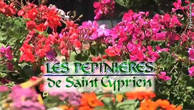 [fsn - recette - video sous titrage] - Crêperie Belle Isle