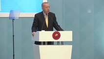 Erdoğan: 
