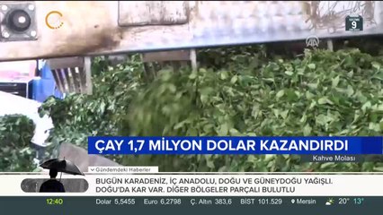 Çay 1,7 milyon dolar kazandırdı
