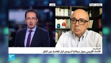 20190322- سليم البدوي عن بريكسيت