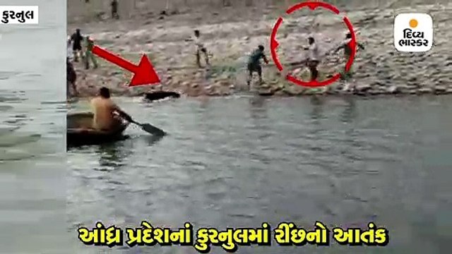 આંધ્ર પ્રદેશનાં કુરનુલમાં રીંછનો આતંક, ફોરેસ્ટ ઓફિસર કુમાર સહિતનાંઓ પર કર્યો હુમલો