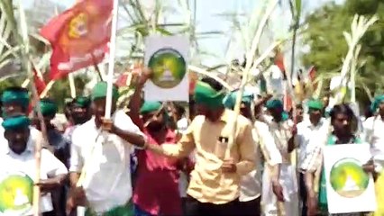 வேட்பு மனு தாக்கலில் அசத்திய நாம் தமிழர் ஷாகுல் ஹமீது-வீடியோ