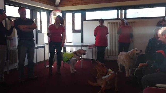 Ghlin.Remise de chiens chez les amis des aveugles.1Video Eric Ghislain