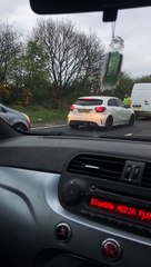 'Runaway bird' holds up traffic on busy road in southeast England