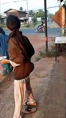 Adorable moment duck joins Buddhist monk on his morning walk