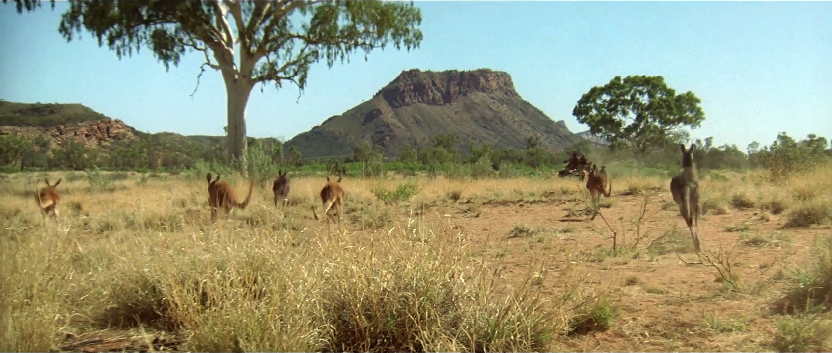 QUIGLEY DER AUSTRALIER Film - Tom Selleck