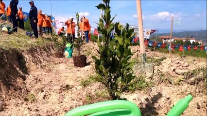 Hükümlüler Adalet Ormanı'na fidan dikti - ADANA