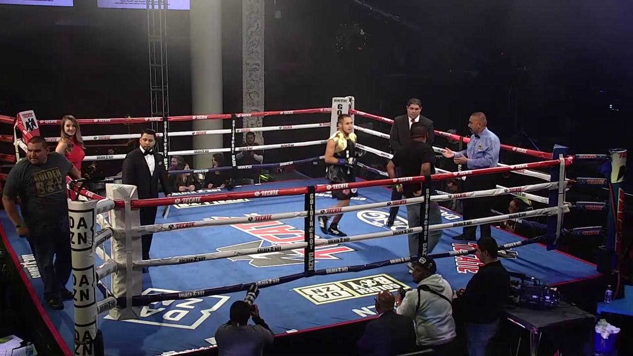 FIGHT NIGHT INCLUDING EARLY UNDERCARDS