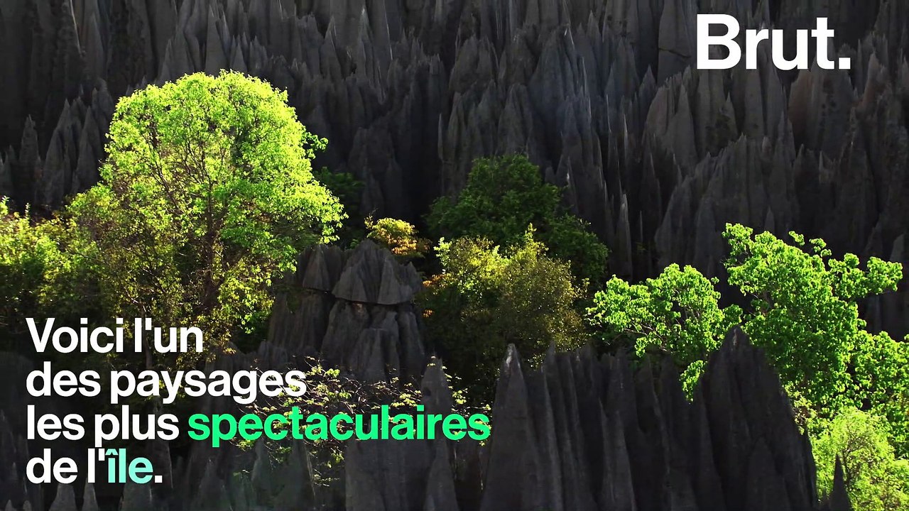 3 merveilles à découvrir à Madagascar