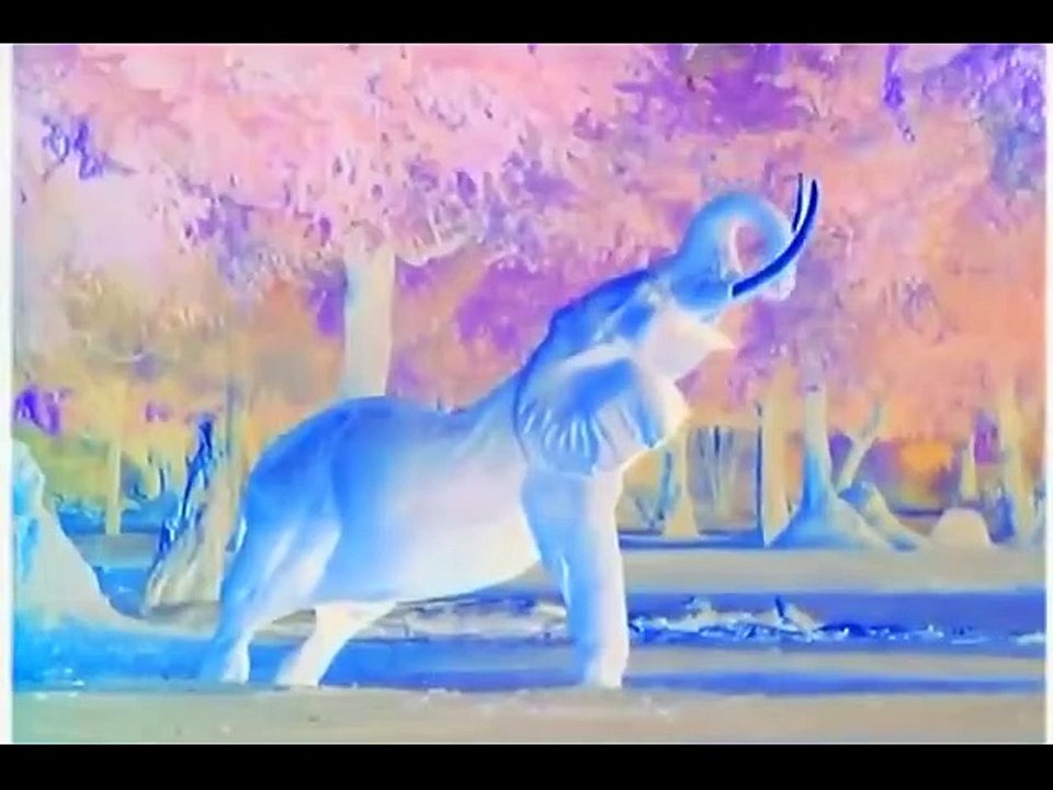 World Animals in G Major [Part 2]
