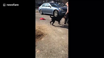 After a long winter this three-year-old was shocked to hear the birds singing