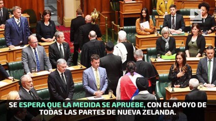 Nueva Zelanda prohibirá todas las armas semiautomáticas