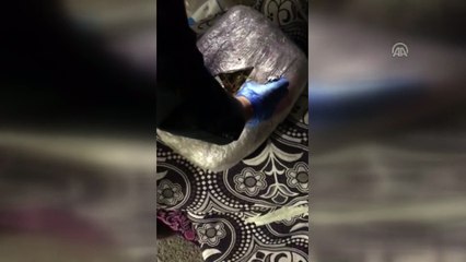 Uyuşturucuyu battaniye ve kilimlerin arasına gizlemişler (2) - AFYONKARAHİSAR