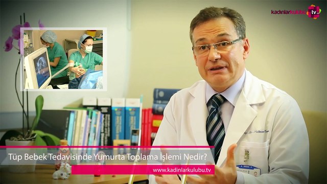 Tüp bebek tedavisinde yumurta toplama işlemi nedir?