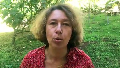 "Les deepfakes, ce sont les fakes news avec des vidéos"