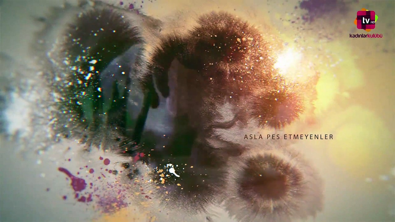 Asiye Nasıl Kurtulur Dailymotion Video