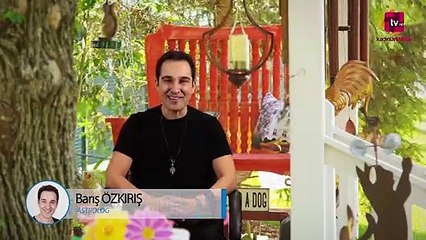 2017 Kasım Ayı Koç Burcu