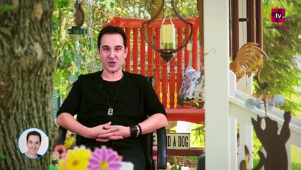 2017 Aralık Ayı Akrep Burcu