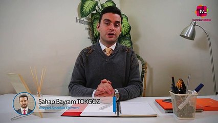 Bireysel Emeklilik Şirketleri Arasındaki Farklar Nelerdir? 