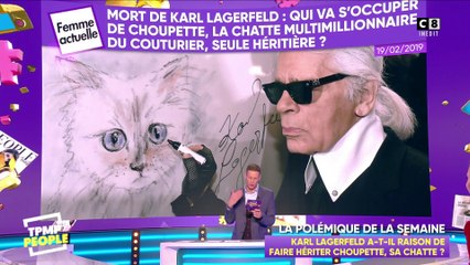 Karl Lagerfeld qui fait hériter sa chatte Choupette : choqué ou pas choqué ?