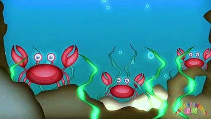 ANIMALS IN THE OCEAN _ Nursery Rhymes TV. Toddler Kindergarten Preschool Baby Songs.