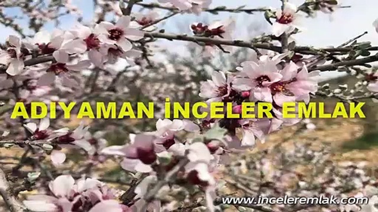 Burasi Adiyaman Ev Sahibi Olmak mı İstiyorsunuz? Bizi Arayın sizi Ev Sahibi Yapalım! ADİYAMAN'DA HESAPLI, GÜVENILIR SATILIK-KİRALIK GAYRİMENKUL.