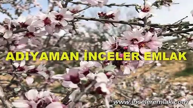 Burasi Adiyaman Ev Sahibi Olmak mı İstiyorsunuz? Bizi Arayın sizi Ev Sahibi Yapalım! ADİYAMAN'DA HESAPLI, GÜVENILIR SATILIK-KİRALIK GAYRİMENKUL.