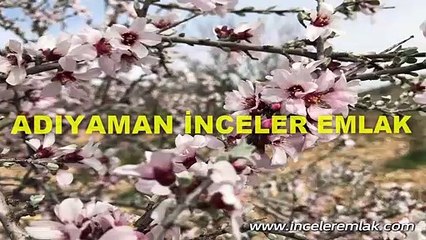 Burasi Adiyaman Ev Sahibi Olmak mı İstiyorsunuz? Bizi Arayın sizi Ev Sahibi Yapalım! ADİYAMAN'DA HESAPLI, GÜVENILIR SATILIK-KİRALIK GAYRİMENKUL.