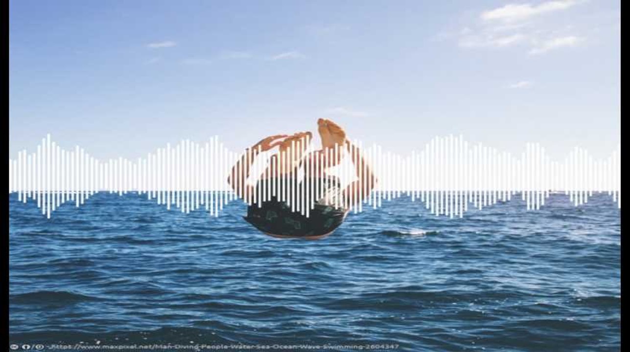 Minute Papillon! Flash info soir - 22 mars 2019