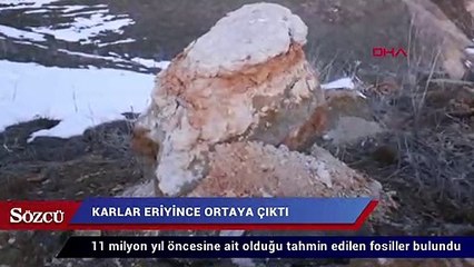 Karlar eriyince ortaya çıktı