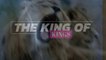 The Deer King Il Re Dei Cervi