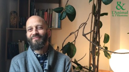 Interview 2 d'Olivier Piazza : La stigmergie, vous connaissez ? 