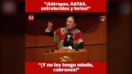 Senadora de Morena llama ratas a opositores