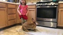 Little Girl Gently Loves on Big Bunny