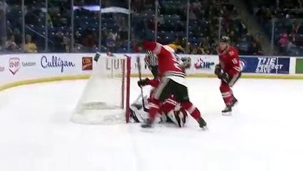 WHL Top 10 Saves of 2018/19 Season