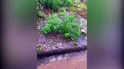 Asfalto liso, em local onde escorre água de mina, gera reclamação de moradora
