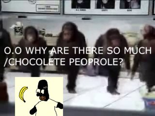 WHY ARE THERE SO MANY CHOCOLATE PEOPLE!!!!!!!!!!