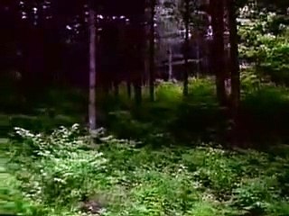 xo카지노 https://www.okm5.com〈˝바카라사이트˝〉