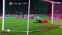 Algérie - Gambie : Résumé ( Buts & Actions ) 1-1