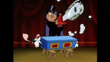 Looney Tunes | Sylvester the Magician Assistant | Best Compilation
