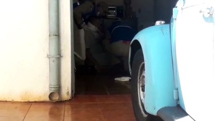 Vítima tem luxação no pé após cair de árvore